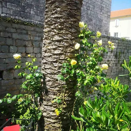 Apartament Antonia *