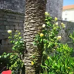 Apartment Antonia *